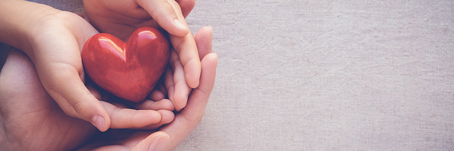 Hands holding an apple in shape of heart
