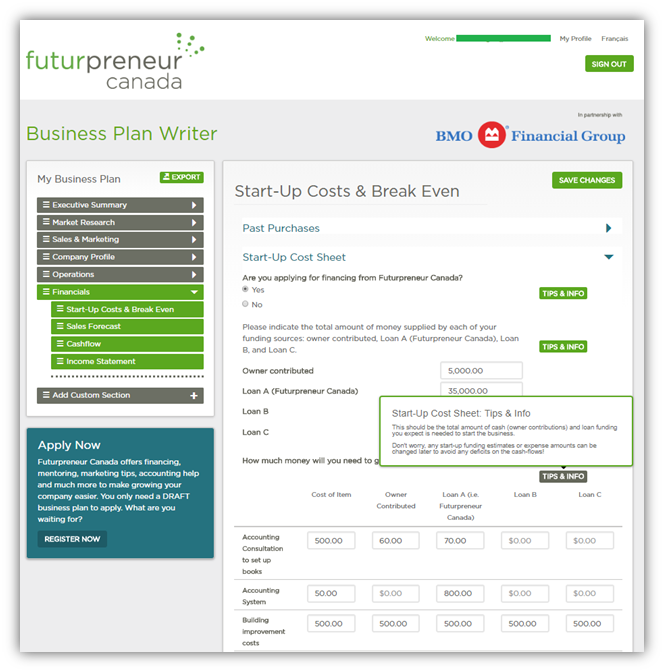 Business Plan Writer Description